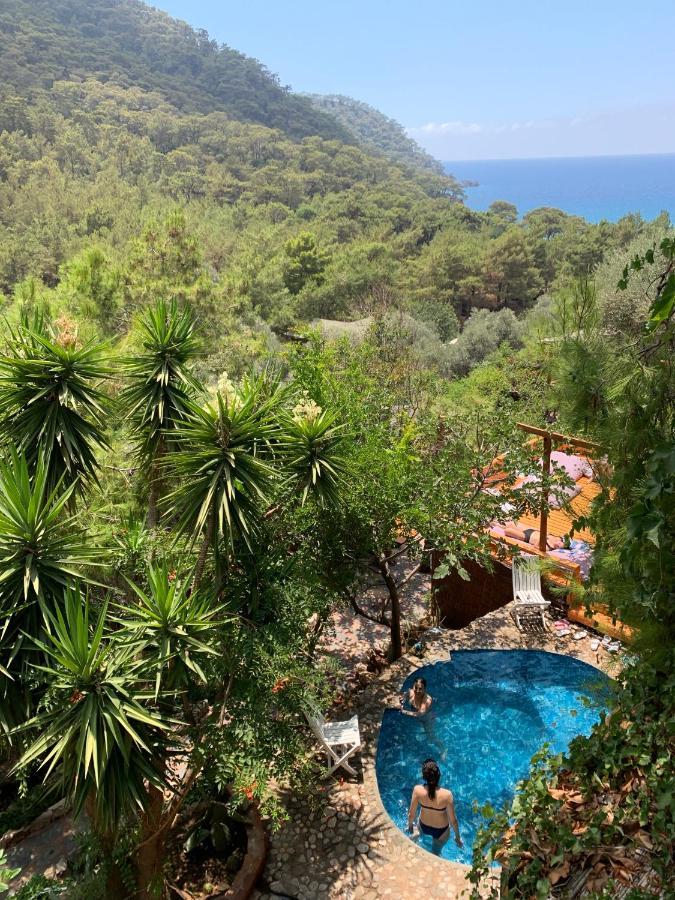 Hotel Turan Hill Lounge Faralya Zewnętrze zdjęcie